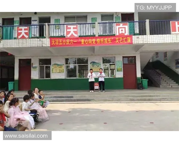 樊玲的艺术人生探索与成长之路：从初心到巅峰的心路历程