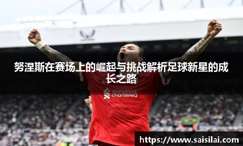 努涅斯在赛场上的崛起与挑战解析足球新星的成长之路